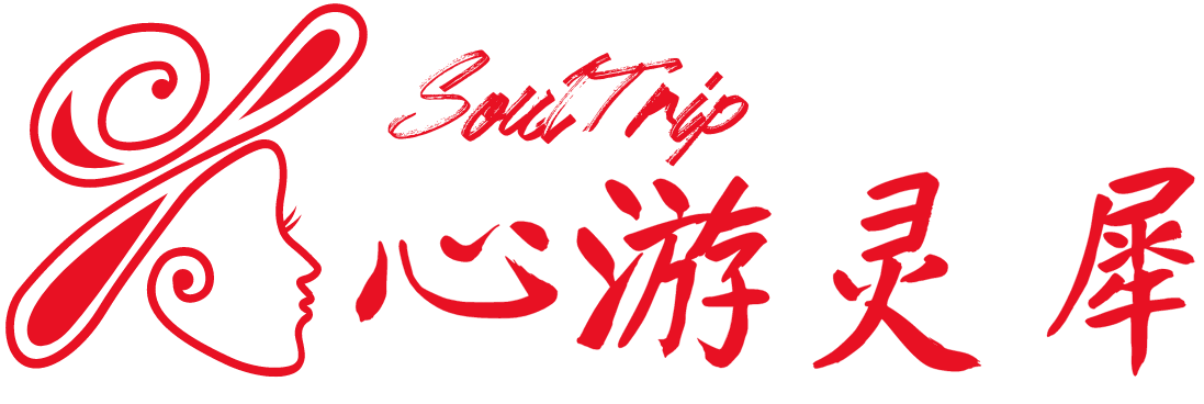 心游灵犀网络科技有限公司